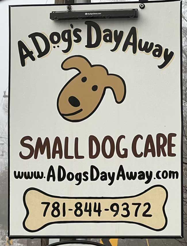 a dogs day away